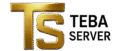 tebaserver.com